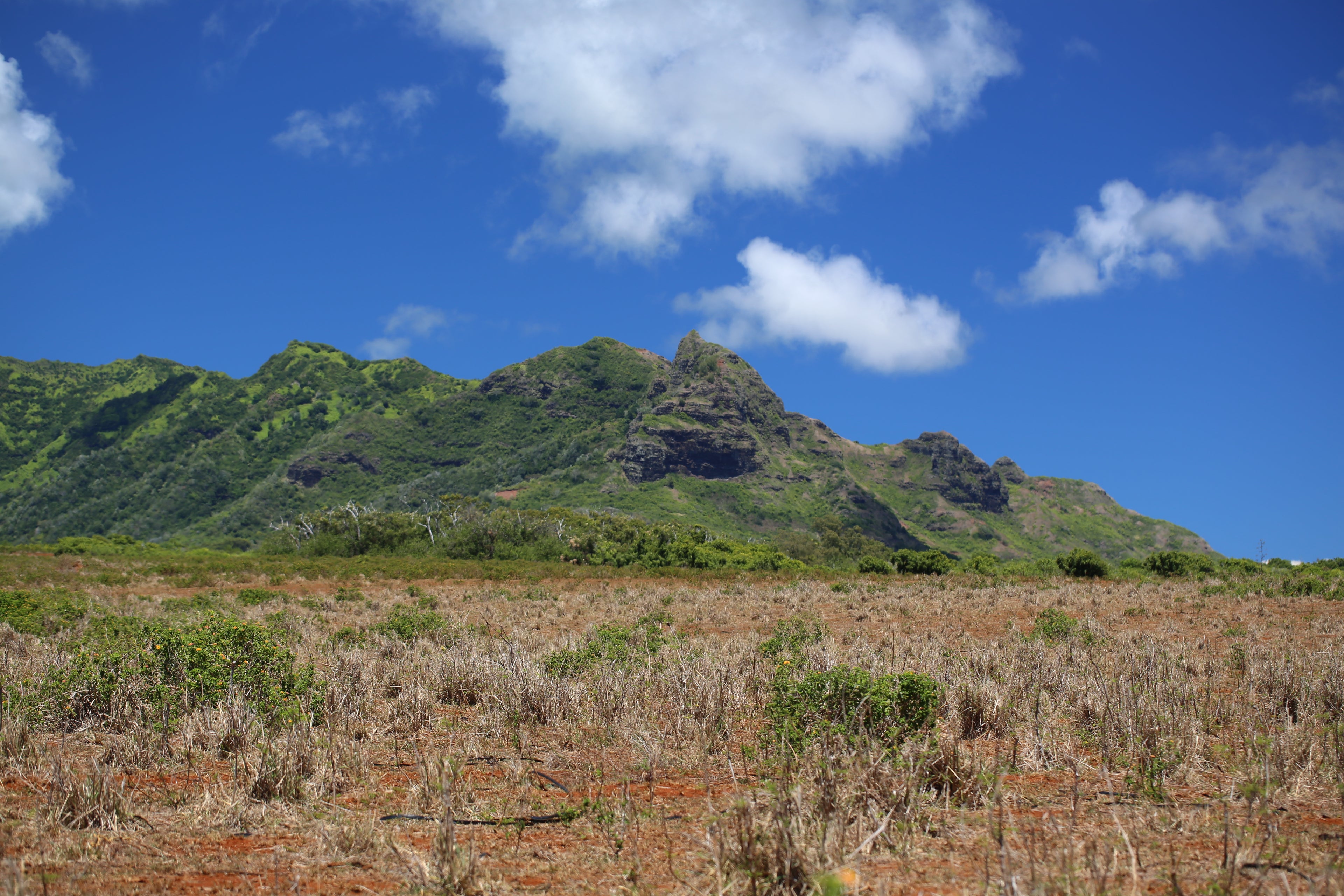 BCX Ultra View in Hawaii