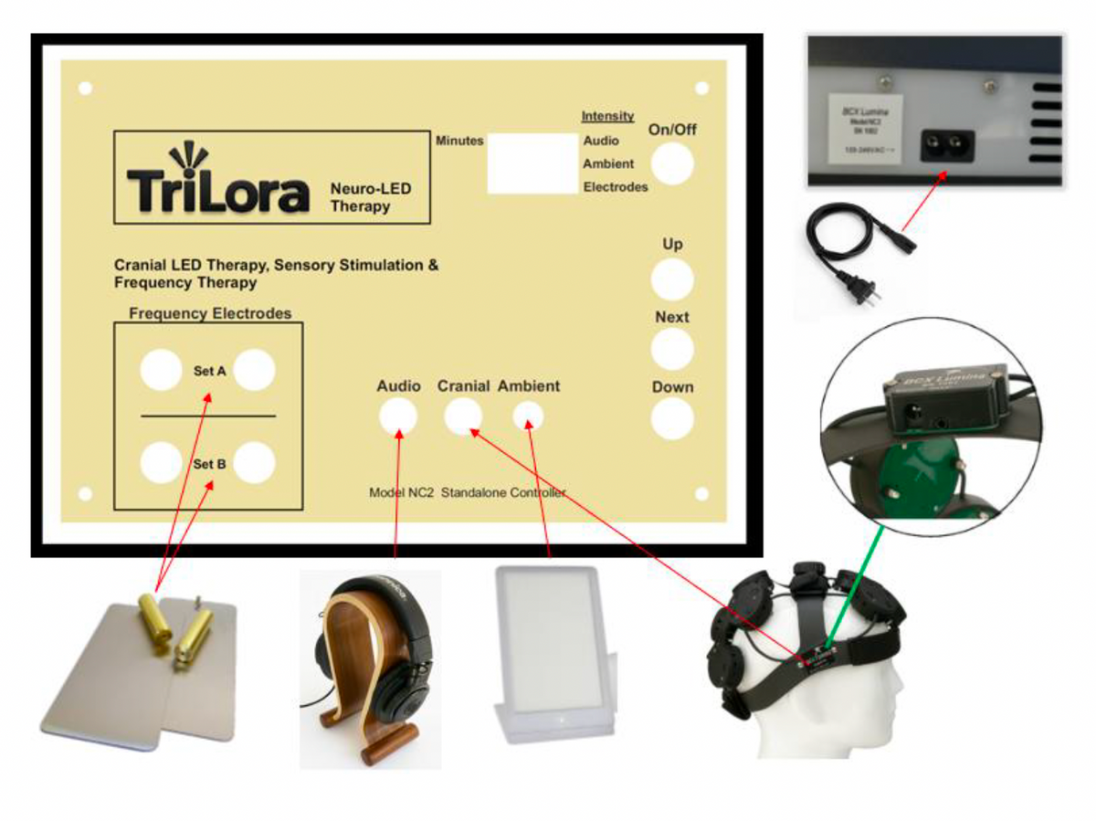 TriLora Neuro Cap
 - Alzheimers Therapy Cap